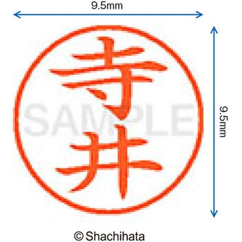 ネーム9 既製(テ) シヤチハタ