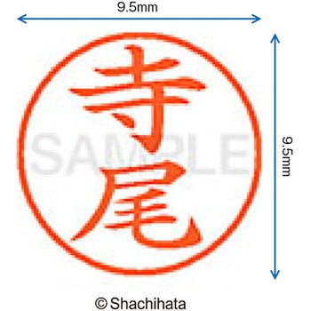 ネーム9 既製(テ) シヤチハタ