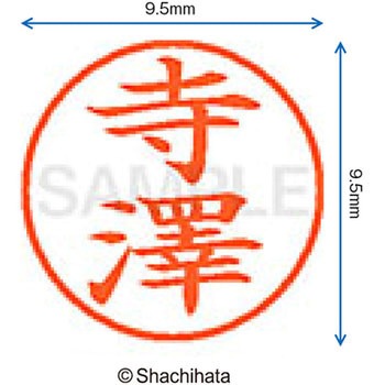 ネーム9 既製(テ) シヤチハタ