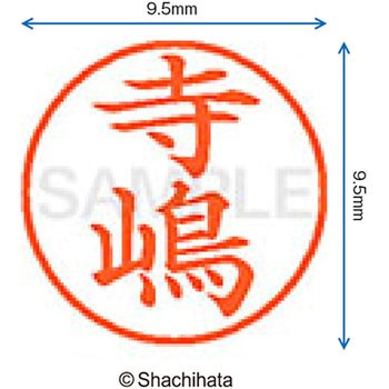 ネーム9 既製(テ) シヤチハタ