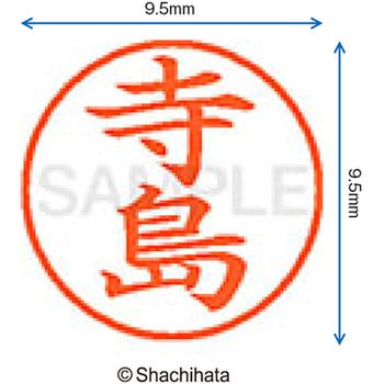 ネーム9 既製(テ) シヤチハタ