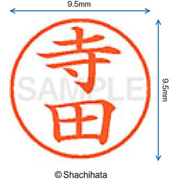 ネーム9 既製(テ) シヤチハタ