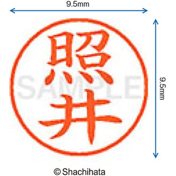 ネーム9 既製(テ) シヤチハタ