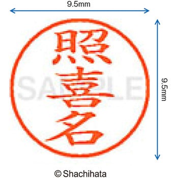 ネーム9 既製(テ) シヤチハタ