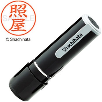 ネーム9 既製(テ) シヤチハタ