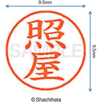 ネーム9 既製(テ) シヤチハタ