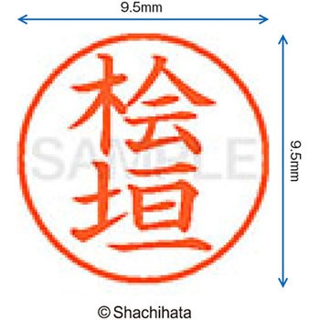 ネーム9 既製(ヒ) シヤチハタ