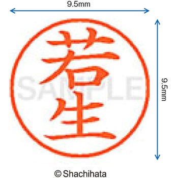 ネーム9 既製(ワ) シヤチハタ