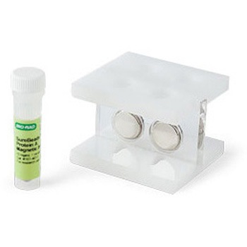 1614811JA SureBeads BIORAD 39100539