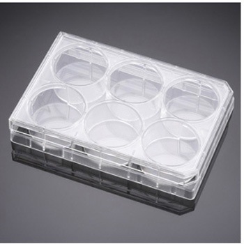 351147 mg[ggv[g FALCON 39119956