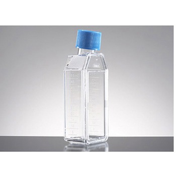 353813 プライマリア FALCON 39120123