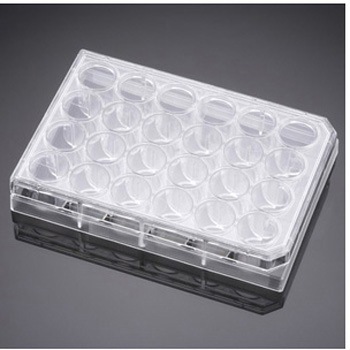 356723 PureCoat アミン FALCON 39120358