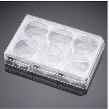 356240 PureCoat ECM Mimetic tBulN` FALCON 39120507