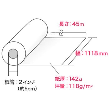 ロール紙 サンワダイレクト