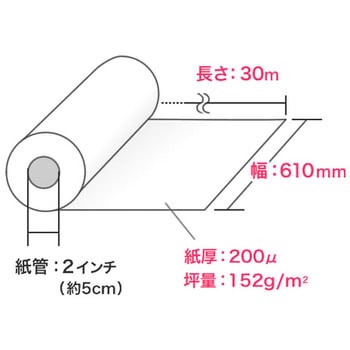 ロール紙 サンワダイレクト