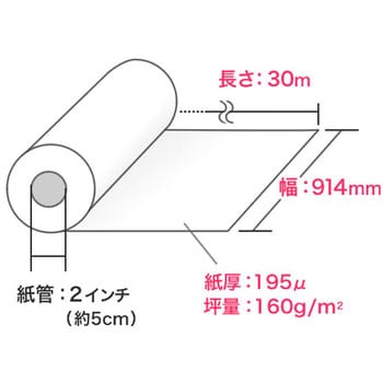 ロール紙 サンワダイレクト