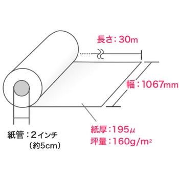 ロール紙 サンワダイレクト