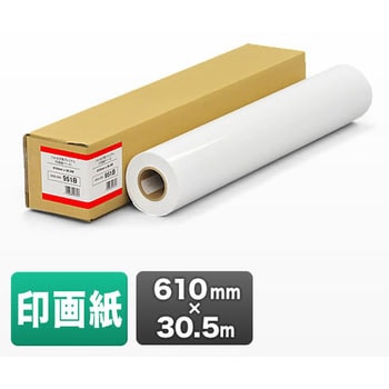 ロール紙 サンワダイレクト