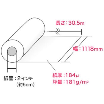 ロール紙 サンワダイレクト