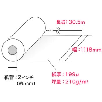 ロール紙 サンワダイレクト