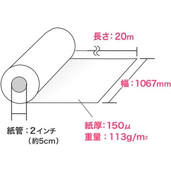 ロール紙 サンワダイレクト