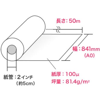 ロール紙 サンワダイレクト