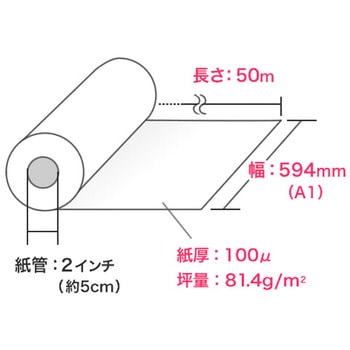 ロール紙 サンワダイレクト