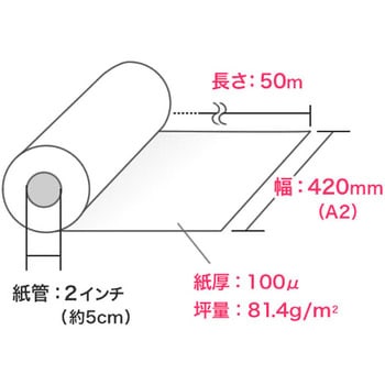 ロール紙 サンワダイレクト