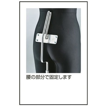フレキシブルマネキン アズワン