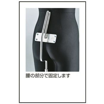 フレキシブルマネキン アズワン
