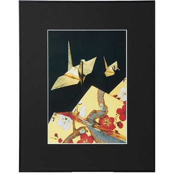 高級額縁 画廊 アクリル Kenko(ケンコートキナー)