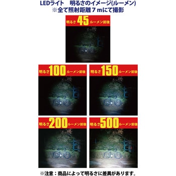 LEDフラッシュライト マグライト D.CELLシリーズ