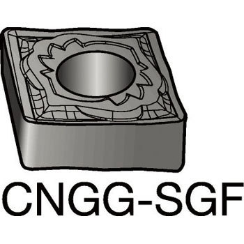 CNGG 12 04 08-SGF  H13A `bv CNGA ThrbN 39352103
