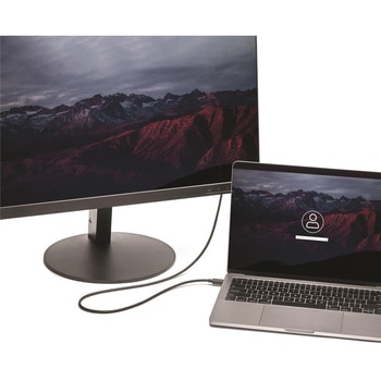USB Type-C - DisplayPort変換ケーブル 1.8m 4K/60Hz StarTech.com