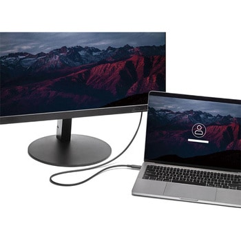 USB-C - Mini DisplayPortケーブル 1.8m 4K/60Hz ブラック StarTech.com