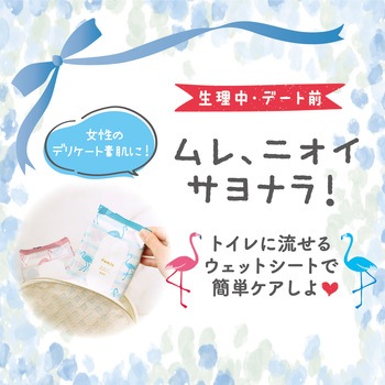 フェムウエット シート LEC(レック)