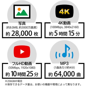 高耐久microSDXC UHS-I U3/4K対応/V30 ARCHISS