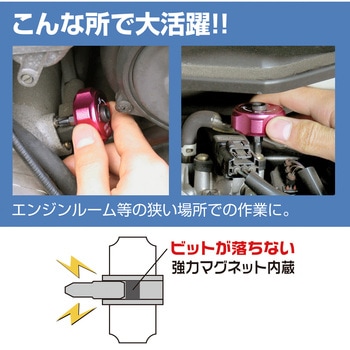 プチラチェ エンジニア
