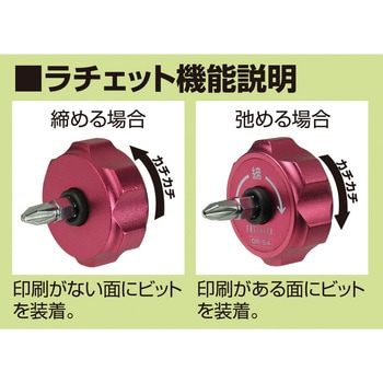 プチラチェ エンジニア