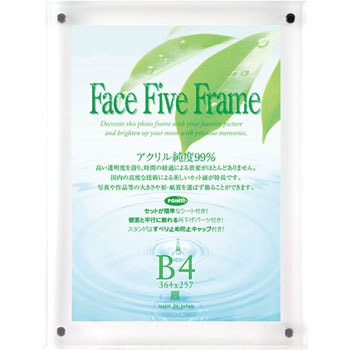 1000012534 �t�F�C�X�t�@�C�u�t���[�� APJ(�A�[�g�v�����g�W���p��) 39529779