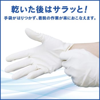手指消毒剤 ハンドスキッシュEX 花王