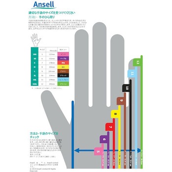 ハイライト背抜き アンセル