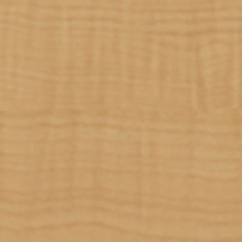 WBA-307 �E�b�h���C�� A�T�C�Y �^�W�}(�c�����[�t�B���O) 39846075