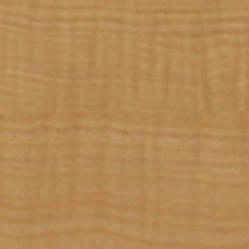 WBA-308 �E�b�h���C�� A�T�C�Y �^�W�}(�c�����[�t�B���O) 39846084