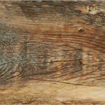 WBF-628 EbhC FTCY ^W}(c[tBO) 39847317