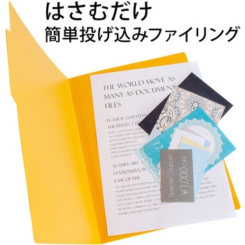PP個別フォルダー + PLUS(プラス)[文具]