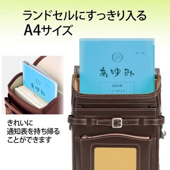 クリアホルダー 通知表ホルダー プラス(文具)