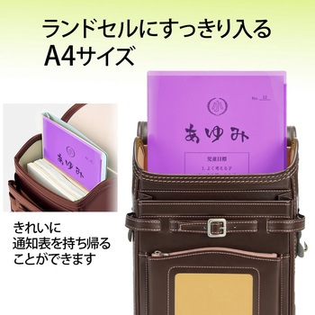 クリアホルダー 通知表ホルダー プラス(文具)