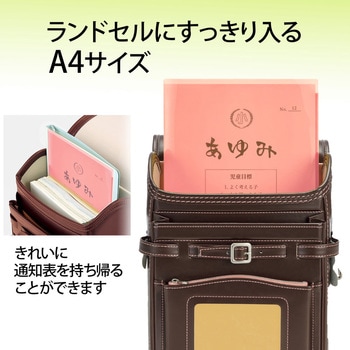 クリアホルダー 通知表ホルダー プラス(文具)