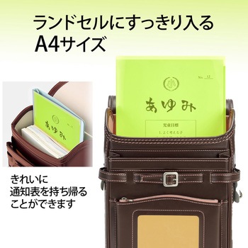 クリアホルダー 通知表ホルダー プラス(文具)